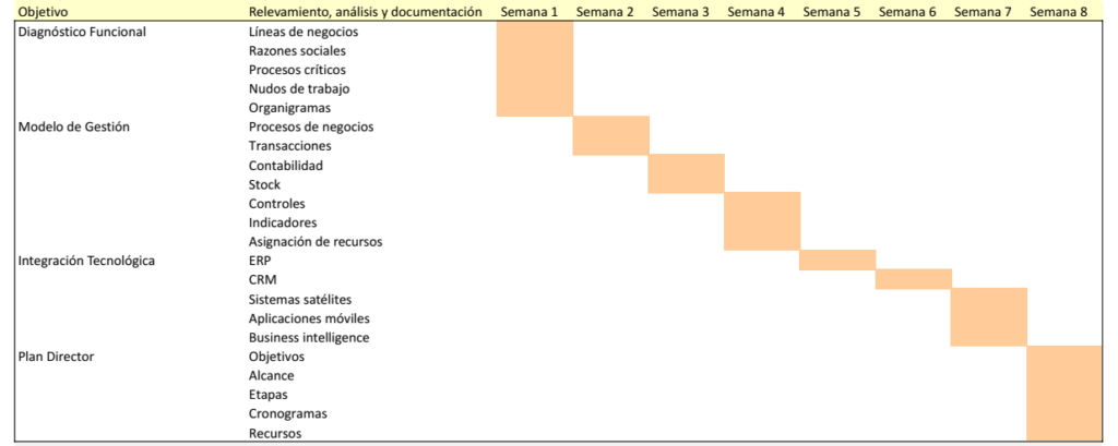 Proceso de Implementación ERP 4 Cronograma de Consultoría en Transformación Digital en Autobox
