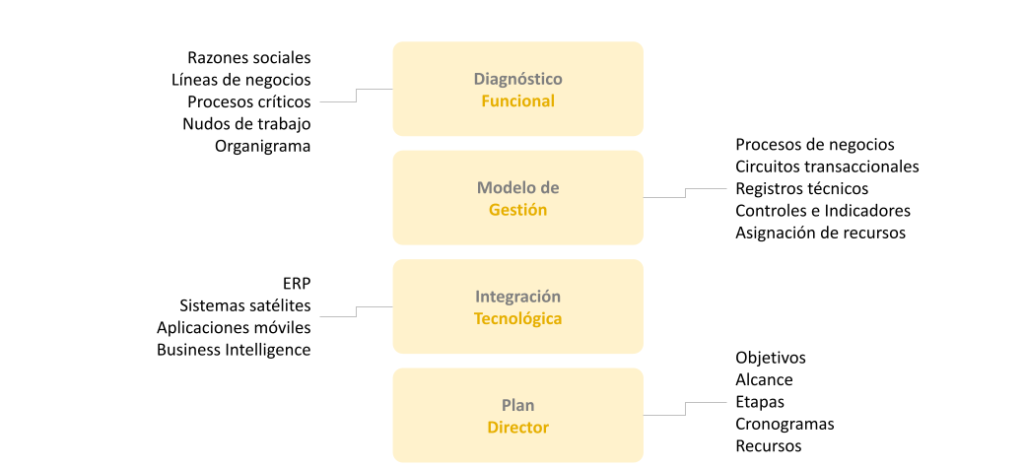 Proceso de Implementación ERP 5 transformación digital SEVEL.pptx