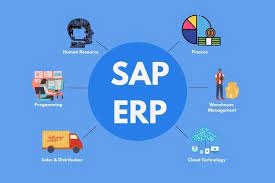¿Qué es SAP ERP? 2 principales ventajas de SAP ERP